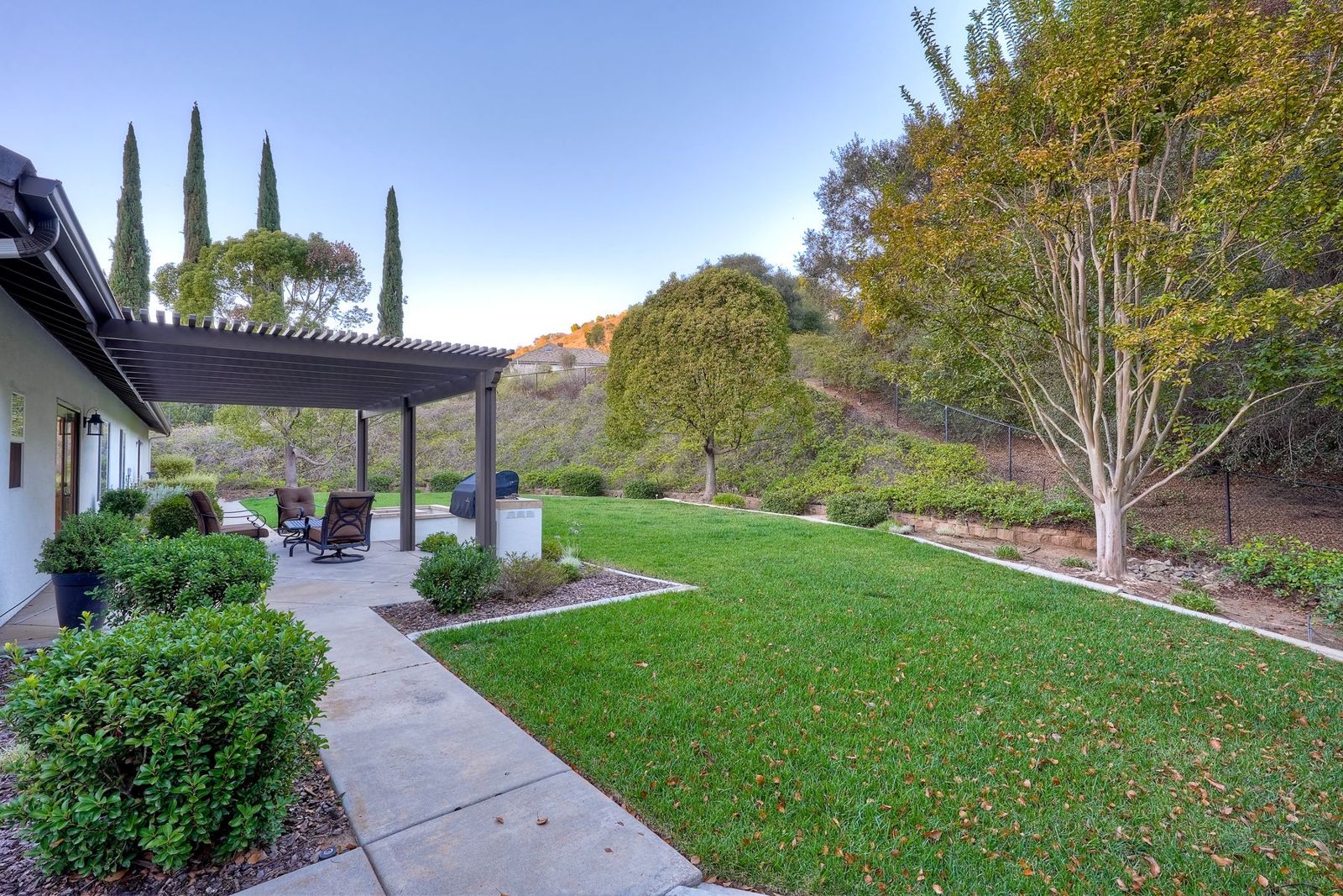 Back lawn framed by Italian cypress